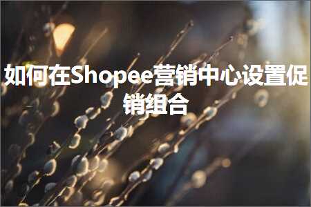 跨境电商知识:如何在Shopee营销中心设置促销组合