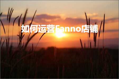 璺ㄥ鐢靛晢鐭ヨ瘑:濡備綍杩愯惀Fanno搴楅摵