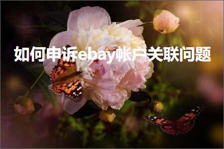 璺ㄥ鐢靛晢鐭ヨ瘑:濡備綍鐢宠瘔ebay甯愭埛鍏宠仈闂