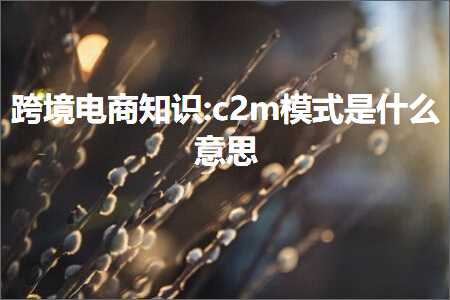 璺ㄥ鐢靛晢鐭ヨ瘑:c2m妯″紡鏄粈涔堟剰鎬? width=