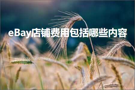 跨境电商知识:eBay店铺费用包括哪些内容